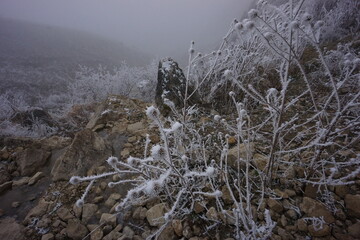 Snowy Mountains of Azerbaijan with Morning Fog