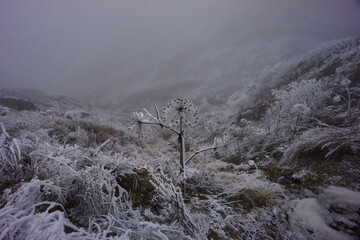 Snowy Mountains of Azerbaijan with Morning Fog