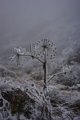 Snowy Mountains of Azerbaijan with Morning Fog