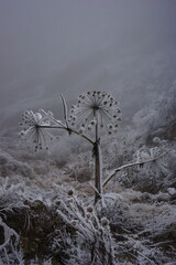 Snowy Mountains of Azerbaijan with Morning Fog