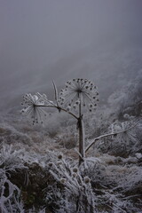 Snowy Mountains of Azerbaijan with Morning Fog