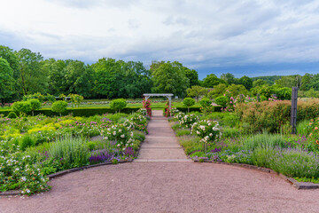 Lush Garden Pathway Among Blooming Flowers in Rosenhoehe Park Darmstadt