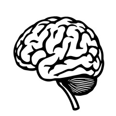 Single Black and White Human Brain Icon with Detailed Gyri, Sulci, and Cerebellum on a Pure White Background, Flat Minimalist Style
