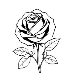 Detailed Black Outline Rose Illustration with Subtle Solid Fills, Centered on a Clean White Background