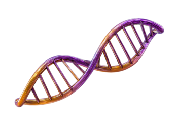Metallic D N A Helix With Purple And Gold Tones isolated on a transparent background