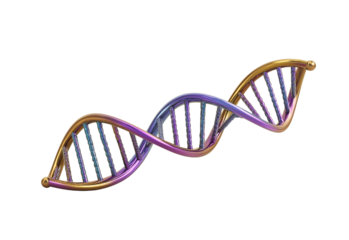 Metallic D N A Helix With Purple Blue Hues isolated on a transparent background