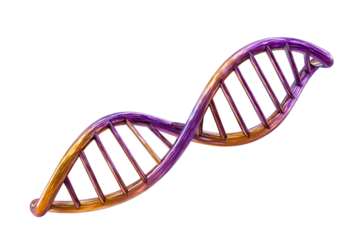 Metallic D N A Helix With Purple And Gold Tones isolated on a transparent background