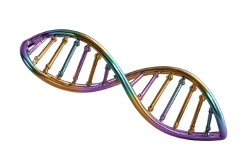 Rainbow Gold D N A Double Helix isolated on a transparent background