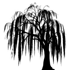 Detailed Black Silhouette of a Weeping Willow Tree against a Pure White Background, Featuring Dense, Drooping Foliage and Visible Branch Structure