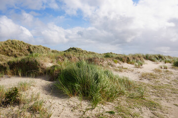 Die wundervolle K&uuml;stenlandschaft auf der Insel Fan&oslash; in D&auml;nemark an einem sonnigen Sp&auml;tsommertag	