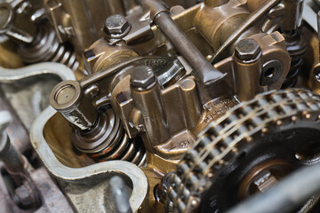 Intake valve under the dome in a petrol engine, next to it is the timing chain