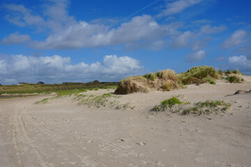 Die wundervolle Dünenlandschaft auf der Insel Fanø in Dänemark an einem sonnigen Spätsommertag