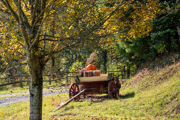Autumn Landscape with Fall Colors and Harvest Decorations