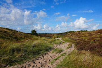 Die wunderschöne Natur auf der Insel Römö in Dänemark an einem sonnigen Spätsommertag	