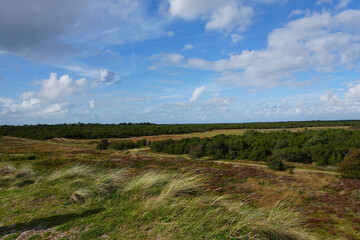 Die wundersch&ouml;ne Natur auf der Insel R&ouml;m&ouml; in D&auml;nemark an einem sonnigen Sp&auml;tsommertag	