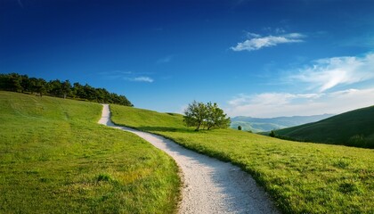 Fototapeta premium Serene Landscape With A Winding Path Under A Clear Blue Sky