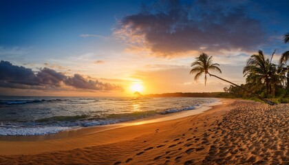 Tropical Sunset Beach Paradise