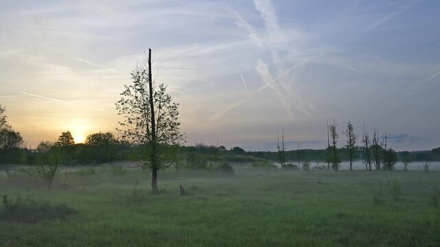Landschaft, Nebelig, Morgen, Fr&uuml;hling, Erlensee, Hanau, Hessen, Deutschland, Europa