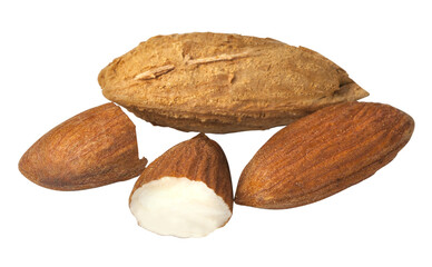 Whole and shelled almonds showing healthy nut concept
