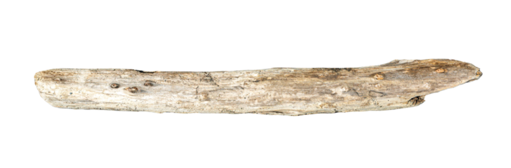 Driftwood log showing textured surface, isolated on a transparent background