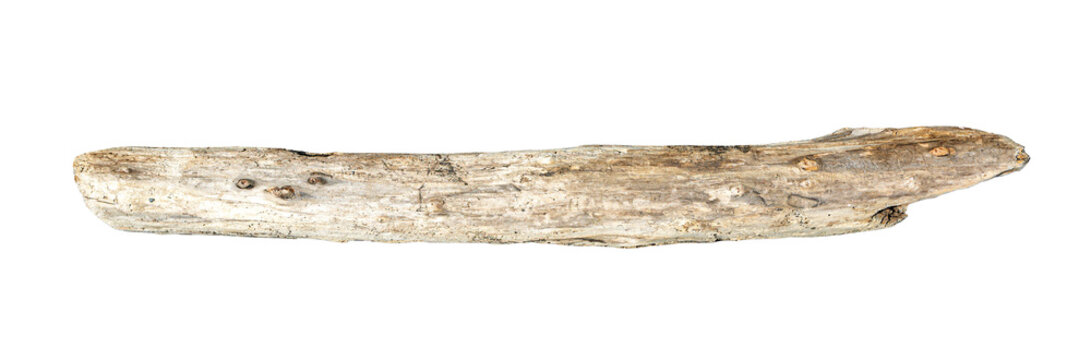 Driftwood log showing textured surface, isolated on a transparent background