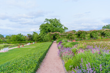 Lush Garden Pathway Surrounded By Vibrant Flowers And Greenery In Rosenhoehe Park