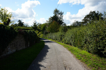 Sunlit gravel path winding through dense green hedges and trees in Oakham Nature Reserve, Mansfield, Nottinghamshire, England.
