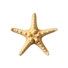 Light beige five-armed starfish with intricate texture on pearlescent sand, isolated against transparent background, high-angle studio shot, soft lighting, commercial product concept