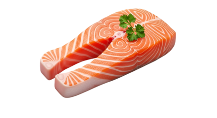 Fresh Salmon Steak with Parsley Garnish on Black Background