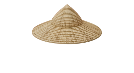 Traditional Asian Conical Straw Hat