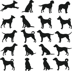 Dog silhouettes, breed variety, sitting standing walking poses, black icons, canine anatomy, pet shapes, animal posture, dog motion, illustration set