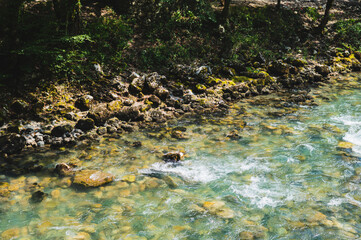 Rocky, mossy bank of a fast mountain stream on a sunny summer day