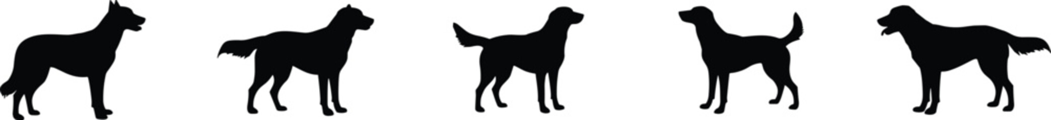 Silhouettes of five standing dogs, side view, different breeds, animal posture, pet illustration, canine shapes, comparison, design, education