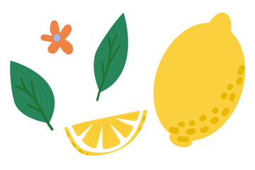 Set of lemon mint and flower elements for decoration and illustrations