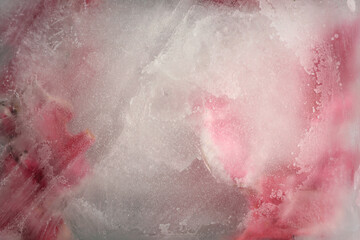 Smoke soft focus pink flower petal through glass with frozen ice. Abstract natural blur wet...
