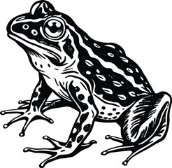 Abstract geometric pattern of intersecting lines and shapes creates dynamic visual harmony isolated on transparent background