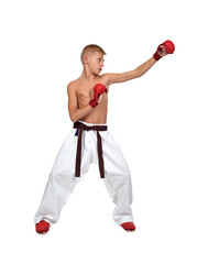Young boy making karate punch