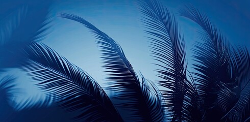 Blue background with palm tree shadows
