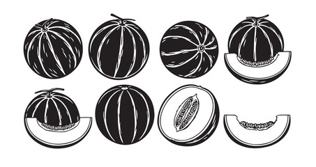 Cantaloupe Fruits Line Art Vector Illustration