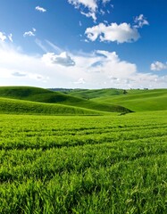 Fototapeta premium Rolling green fields under a vibrant sky