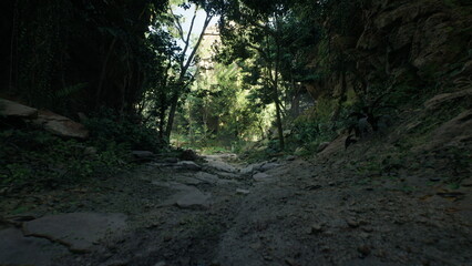 A tranquil pathway winds through a rocky forest landscape, bathed in the soft light of early morning, without any visible people or animals.