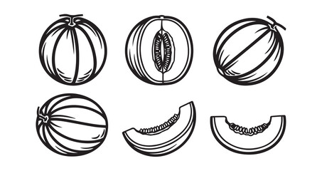 Cantaloupe Vegetable Line Art Natural Organic Food Illustration