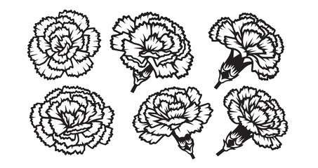 Carnation Line Art Simple Elegant Outline Drawing