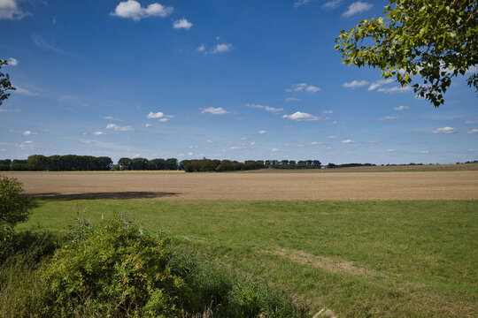 Sommerliche Agrarlandschaft mit gr&uuml;nem Bachlauf und weiten Getreidefeldern bei strahlendem Sonnenschein, W&uuml;stenneutzsch, Burgenlandkreis, Sachsen-Anhalt, Deutschland