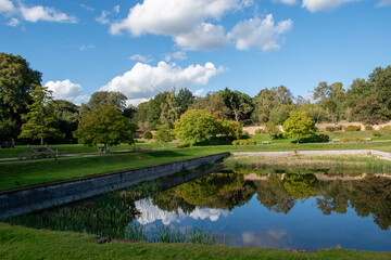 Fototapeta premium A landscape with a small lake surrounded by trees with reflection on water.