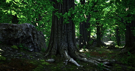 A serene forest features tall trees with expansive, green leaves. Sunlight filters through the canopy, revealing a rich ecosystem with rocks and undergrowth.