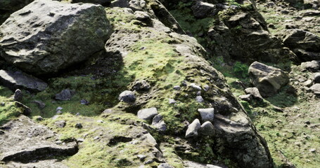 Rugged rocks and boulders are scattered across the ground, blanketed in lush green moss, creating a tranquil atmosphere in a natural landscape during daylight.