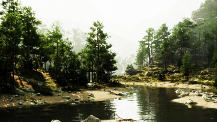 A river running through a lush green forest