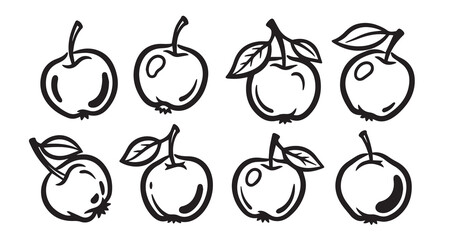 Crabapple Fruits Line Art Botanical Fruit Illustration