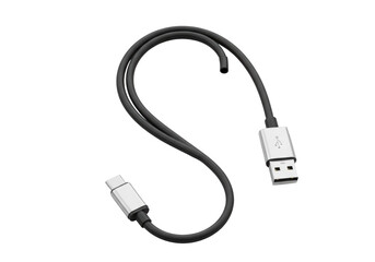 A sleek black electrical cable, coiled into an S-curve, beside a polished silver USB-C connector on a seamless transparent background with professional studio lighting. Concept of modern tech
